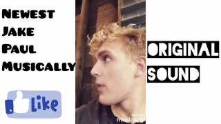 Newest Jake Paul Musical.ly