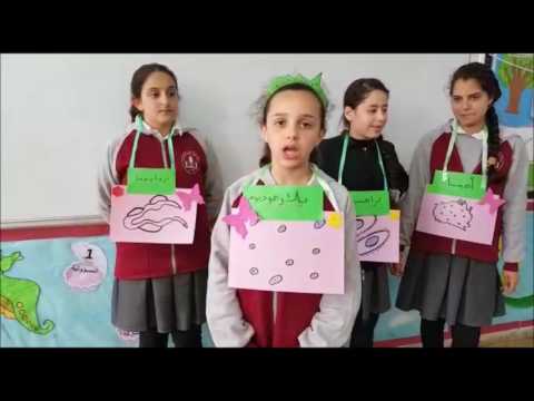 الكائنات الحية الدقيقة Youtube