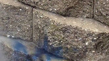 SEI Industrial Chem- Split face block graffiti removal with NO CHEMICALS