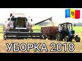 06.07.18✔УБОРКА ОЗИМОГО ЯЧМЕНЯ_КОМБАЙН VECTOR 410❎МТЗ 82.1