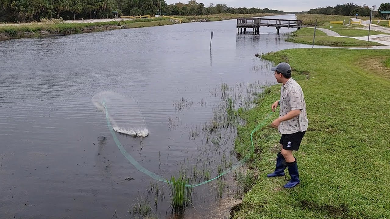 외래종이 많은 미국 하천에 투망을 던져보겠습니다