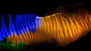 Digital Artwork Showreel Hd