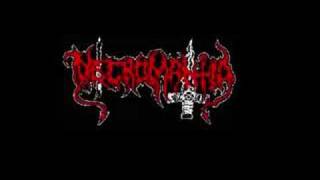 Video thumbnail of "Necromantia [Those Who Never Sleep]"