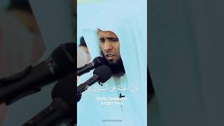 •| Чтец: «Мансур Ас-Салими»•| Сура 79: «Ан-Назиат» •| Аят: «37-41»          #quran #mansuralsalimi