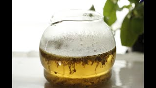 تفتيح الشعر+8 أسرار لأزهار البابونج + ماهي فوائد البابونج للشعر الأفريقي .chamomile tea rinse