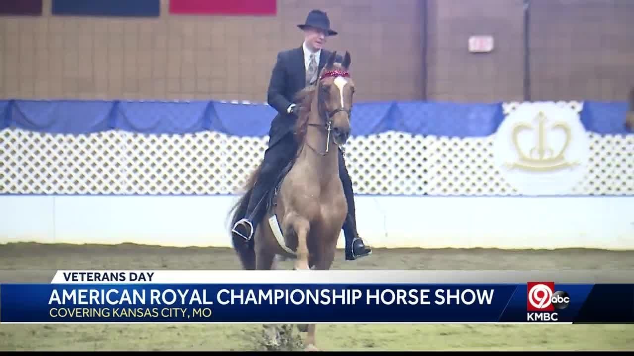 American Royal Championship Horse Show held in KCMO YouTube