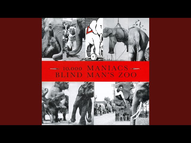 10,000 MANIACS - THE BIG PARADE