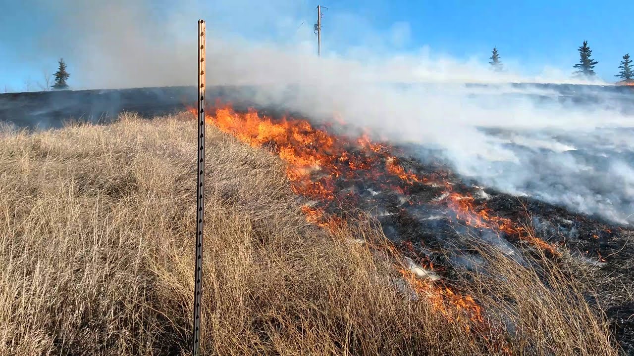 Grass Fire YouTube