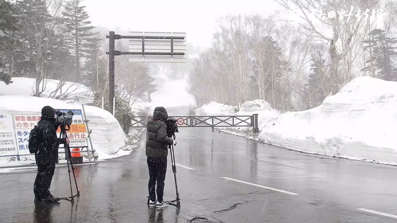 雪壁の間のドライブお預け　八幡平アスピーテライン