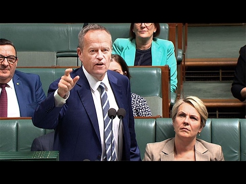 Bill Shorten revels in race-hate win