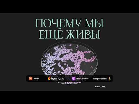 Зуб на зуб попадает: как мы научились лечить, исправлять и восстанавливать зубы | Почему мы еще живы