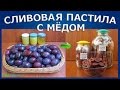 Сливовая пастила с мёдом в сушилке Изидри