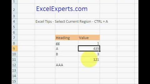 ExcelExperts.com -Excel Tips - Select Current Region - CTRL + A