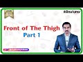 Anatomy Front of the thigh - Part 1   ( Dr.G.Bhanu Prakash )