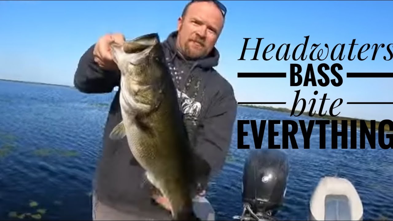 Headwaters bass bite everything! YouTube