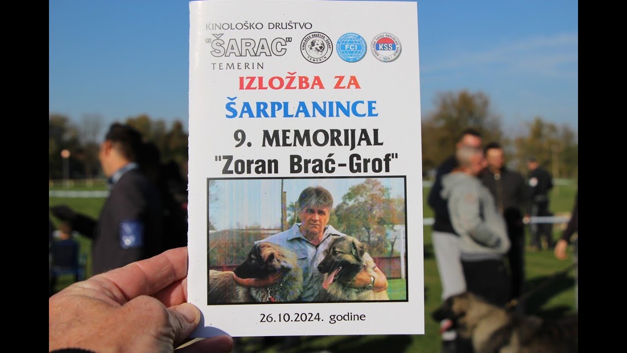 Sarplaninac Dog Show - Temerin 2024