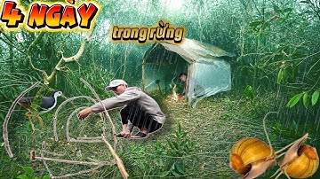 P1)4ngày Cắm trại sống sót trong khu rừng ngập nước|4 days of survival camping in the flooded forest
