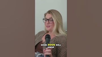 Why Giant Pandas Abandon One of Their Twins  The Shocking Truth Revealed  #random #wildlife