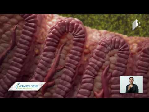 იმუნური სისტემის, გლუკოზის მეტაბოლიზმის და ნაწლავის ბაქტერიის კავშირი - ახალი აღმოჩენა