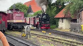 Harz Narrow Gauge, Wernigerode. June 19 2023