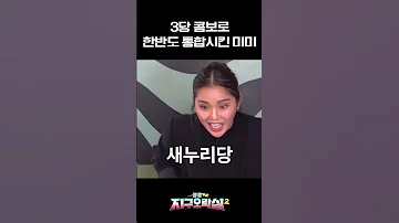 미미 민주당 새누리당 그리고 