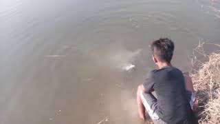 Download lagu surve waduk grojok plandaan ploso jombang dibuka tgl 26 minggu depan liputan untuk para mania surve waduk grojok plandaan ploso jombang dibuka tgl 26 minggu depan liputan untuk para mania