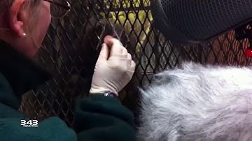 Halo Infinite Sound Design: Field Recording 14