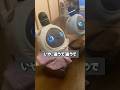 うちのLOVOT達は賢いのかアホなのか　#shorts #lovot #robot #ラボット #ぽろぱん