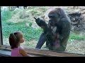 Kids At The Zoo New Compilation 2016 - Funny Babies At The Zoo