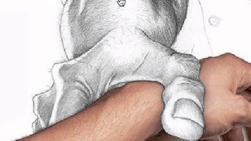 Introduction to Value drawing