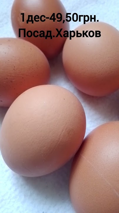 Цена за 1 десяток яиц #ценывукраине #ценынаеду #ценынапродукты # ...