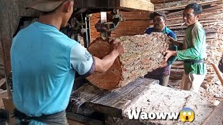 sawing the biggest pine logs, dangerous extreme workers