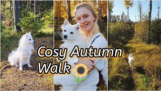 🌻🍂Cosy Autumn Walk - Japanese Spitz🍂🌻 by Tera & Luna 333 views 2 years ago 2 minutes, 55 seconds