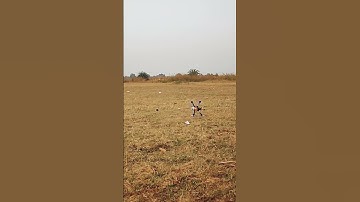 Turtle Mode( FLIP after CRASH )