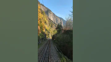 Rigi 22 Autumn Colours Seen From The Rigi Bahn 