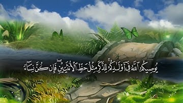 تلاوة رائعة من سورة النساء للقارئ الشيخ ماهر المعيقلي
