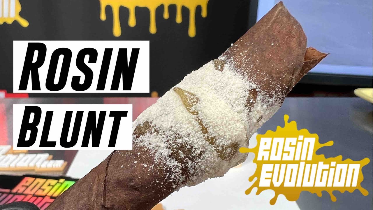 How to roll a ROSIN BLUNT with special guest Matt Darby!