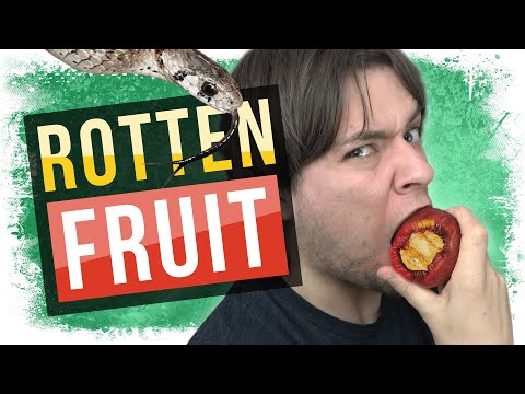 The Rotten Fruit of Christianity | Immoral From The First Bite