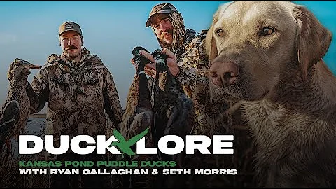 Kansas Pond Puddle Ducks with Ryan Callaghan and S...