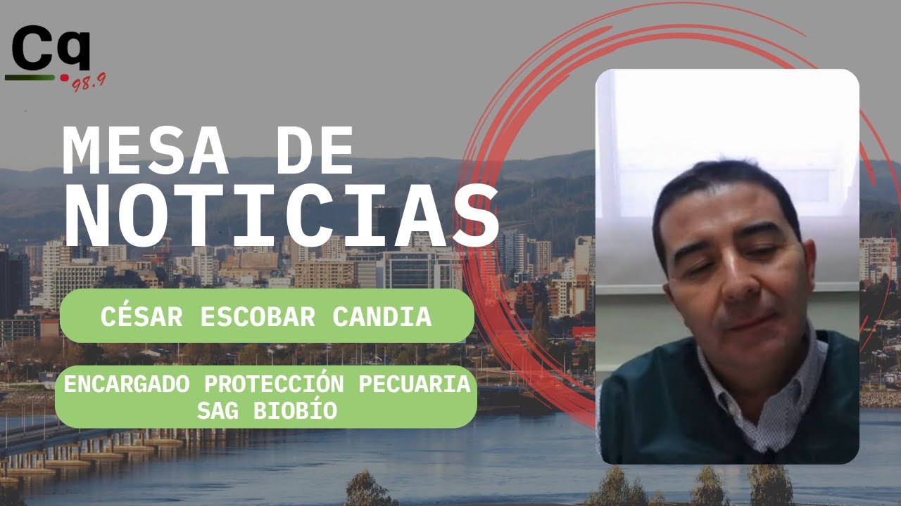 maxresdefault César Escobar Candia Encargado Protección Pecuaria del SAG Biobío