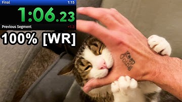 annoying my cat until he gives up the chair speedrun 100% (WR)