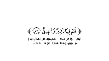 كروما شاشه بيضاء قرأن كريم 🥀 تلاوة من سورة هود 🥀 القارئ عمر الدريويز🥀