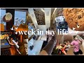 STUDY VLOG: a productive midterms week in my life &amp; life @ Carleton College