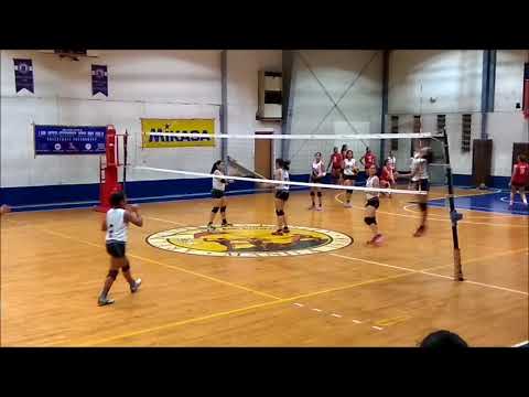 HOPE Christian High School Gilrs Volleyball Team Free Spiking