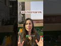 הילד מפחד מבעלי חיים – איך נכון לעזור?