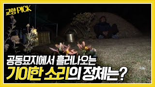 [교양 PICK] '짐승소리' 아니면 '곡소리'? 밤이 되면 공동묘지에서 흘러나오는 기이한 소리의 정체는? [제보자들] KBS 171204 방송