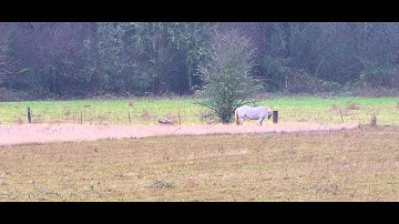 panasonic gh2 hacked test shoots