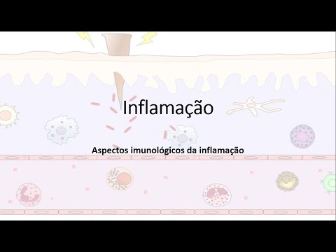 Vídeo: Como deve ser descrito o papel da quimiotaxia na inflamação?