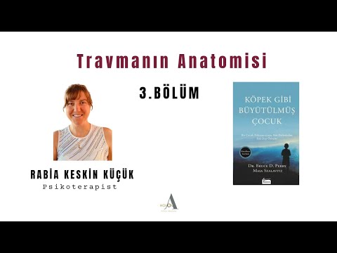 Travmanın Anatomisi 3. Bölüm: Köpek Gibi Büyütülmüş Çocuk/Rabia Keskin Küçük