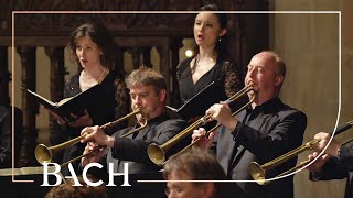 Bach - Gloria Patri from Magnificat BWV 243 | Netherlands Bach Society by Netherlands Bach Society 31,573 views 4 months ago 2 minutes, 25 seconds
